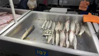 В рыбном корпусе на центральном рынке в Керчи сегодня было так