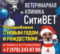 Поздравление с Новым годом от ветеринарной клиники "Ситивет" 