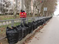 В Керчи продолжают чистить улицы от опавшей листвы