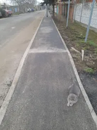 Жительница дома по улице Попова в Керчи выражает благодарность всем, кто помог решить ее проблемы