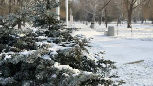 Керчь припорошило снегом: редкое явление создало зимний пейзаж в городе