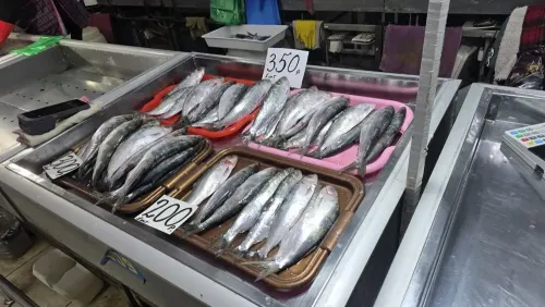 В рыбном корпусе на центральном рынке в Керчи сегодня было так