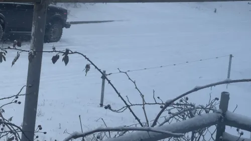 Новости » Общество: Снег продолжает идти: обстановка на дорогах Керчи