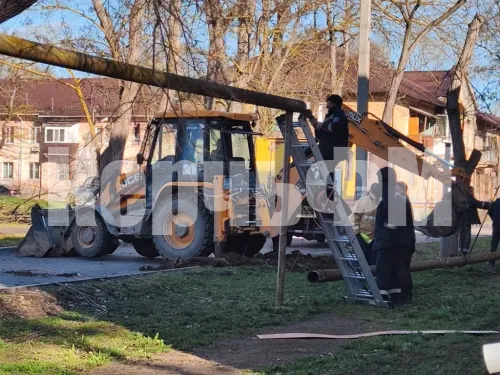 В Керчи дерево упало на газовую трубу