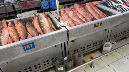 В рыбном корпусе на центральном рынке в Керчи сегодня было так