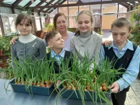 Новости » Общество: Зеленый уголок заботы и знаний: Урок цветоводства в Керченской специальной школе-интернате