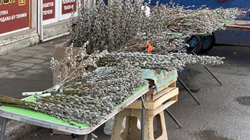 В Керчи начали продавать ветки вербы