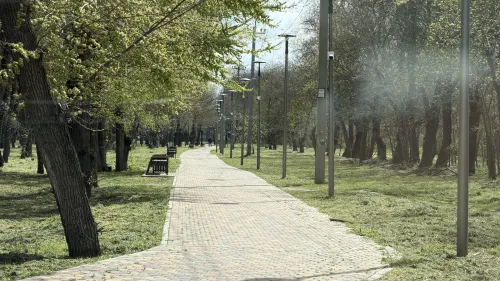 Новости » Общество: Покос травы в Керчи дошел до парков и скверов