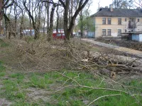 Новости » Общество: У дома по Войкова, 20 в Керчи произведен спил аварийных веток высоких деревьев