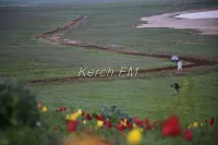 Новости » Экология: В Крыму продлили запрет на посещение Опукского и Казантипского заповедников