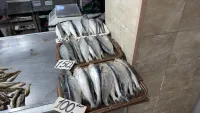 В рыбном корпусе на центральном рынке в Керчи сегодня было так