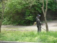 Новости » Общество: В Керчи во всех районах города продолжается покос травы