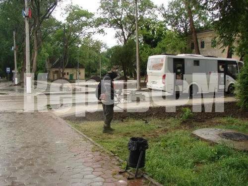 И в дождь, и в зной: в Керчи не прекращается покос травы при любой погоде