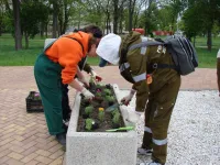На клумбах Комсомольского парка Керчи высадили цветы портулака