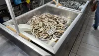 Новости » Общество: В рыбном корпусе на центральном рынке в Керчи сегодня было так