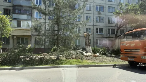 На Свердлова пилят тополя