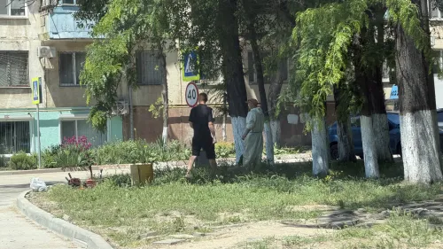 В Комсомольском парке скосят высокую траву