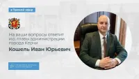 Администрация Керчи хочет попросить вернуться подрядчика, который занимался отловом собак в городе