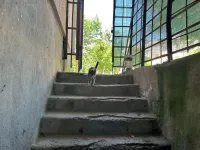 В Керчи приведут в порядок укрытия