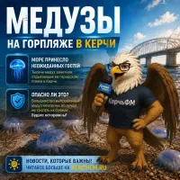 На городском пляже в Керчи — нашествие медуз