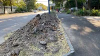 На улице Кирова в Керчи забыли о "зеленой зоне" после благоустройства тротуара