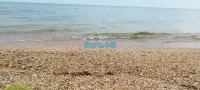 Роспотребнадзор проверил морскую воду в Крыму – что показали пробы