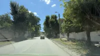 В Керчи провели обрезку деревьев: жители другой улицы ждут аналогичных работ