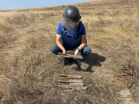 Новости » Криминал и ЧП: Под Керчью обезвредили 11 взрывоопасных предметов
