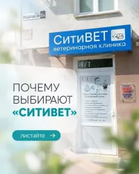 Новости » Бизнес новости: Когда питомцу нужна помощь — мы рядом!
