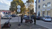 Стволы памятных орудий развернули в обратную сторону
