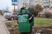 В Керчи устанавливают ограждения против незаконной парковки