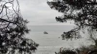 Что нельзя ловить в Чёрном море летом: в Крыму ввели сезонный запрет
