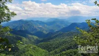 Новости » Общество: В Крыму туристы не везде смогут погулять по лесу
