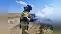 В Крыму с начала года огонь уничтожил 44 автомобиля
