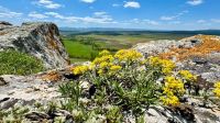 Новости » Общество: Крымчан ждут исключительно прекрасные погодные условия в первые выходные августа
