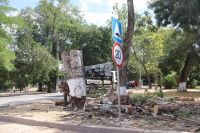 Служба городского хозяйства ведет масштабную вырубку аварийных тополей вдоль улицы Орджоникидзе