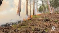 В Крыму продлили предупреждение из-за чрезвычайной пожарной опасности до 1 сентября