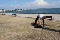 Игорь Крутьков начал новую рабочую неделю с объезда города