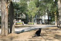 У школы искусств им. Романа Сердюка появились красочные объекты