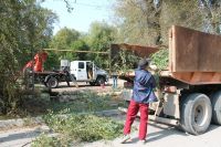 Новости » Коммуналка: В Керчи в районе Старый Стеклотарный спилили аварийное дерево