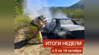 Новости » Криминал и ЧП: Четыре человека погибли в дорожных авариях в Крыму за неделю