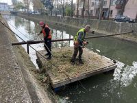Новости » Экология: В Керчи приступили к очистке русла реки Мелек-Чесме