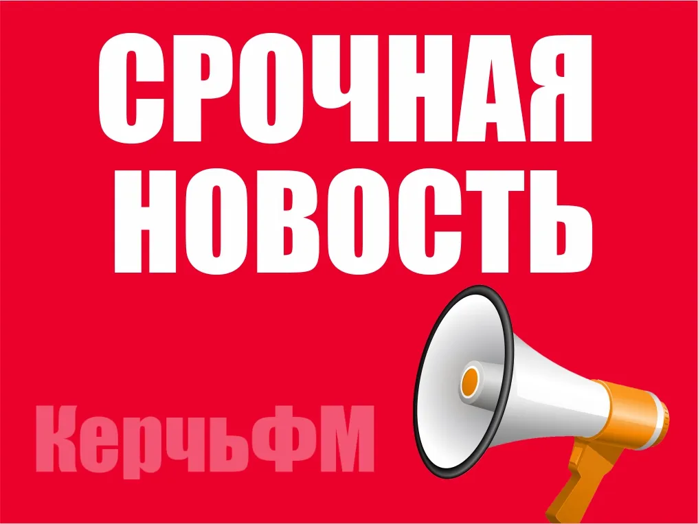 Новости » Общество: Крымский мост: в очереди со стороны Тамани более 2500 авто